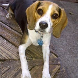 Meet your Posher, Christian